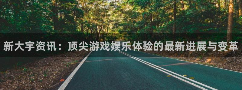 极悦娱乐4招商：新大宇资讯：顶尖游戏娱乐体验的最新进展与变革