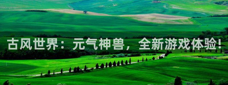 极悦娱乐测速：古风世界：元气神兽，全新游戏体验!