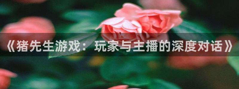 极悦娱乐代理登陆：《猪先生游戏：玩家与主播的深度对话》