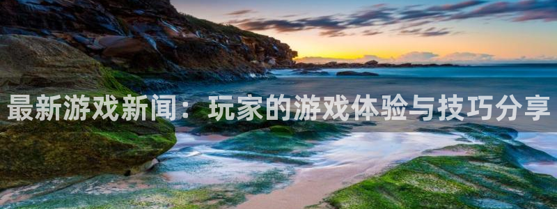 极悦娱乐平台：最新游戏新闻：玩家的游戏体验与技巧分享
