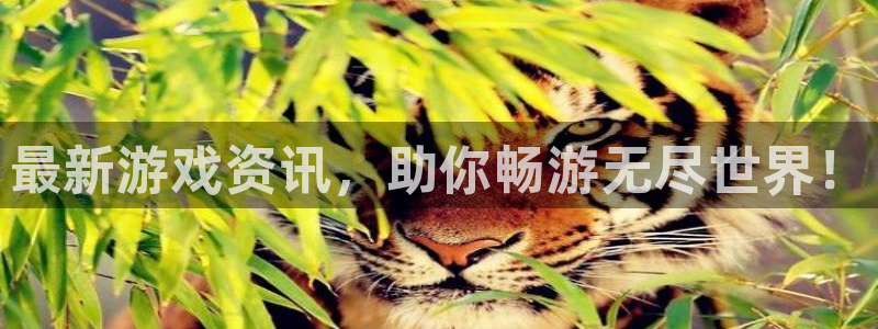 极悦娱乐平台登录入口：最新游戏资讯，助你畅游无尽世界！