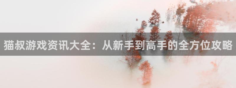 极悦娱乐平台注册资金多少：猫叔游戏资讯大全：从新手到高手的全