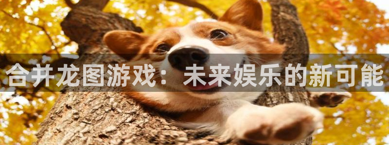 极悦娱乐官方平台：合并龙图游戏：未来娱乐的新可能