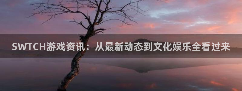 极悦娱乐网页登录入口：SWTCH游戏资讯：从最新动态到文化娱