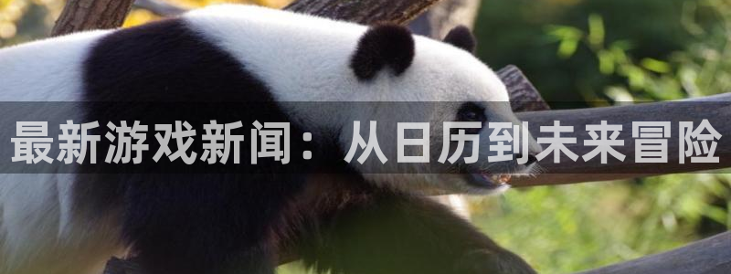 极悦娱乐怎么注册:最新游戏新闻:从日历到未来冒险