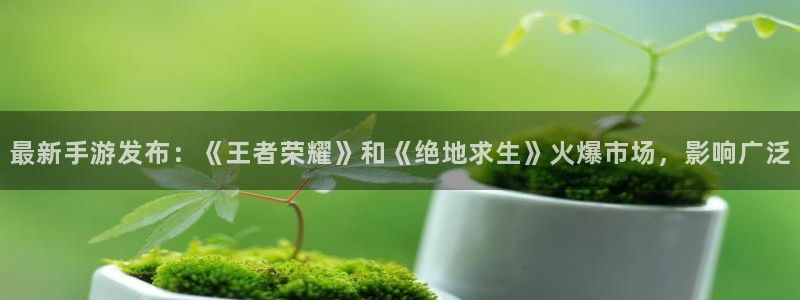 极悦娱乐网页登录入口下载：最新手游发布：《王者荣耀》和《绝地