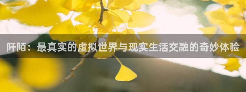 极悦娱乐Ii：阡陌：最真实的虚拟世界与现实生活交融的奇妙体验