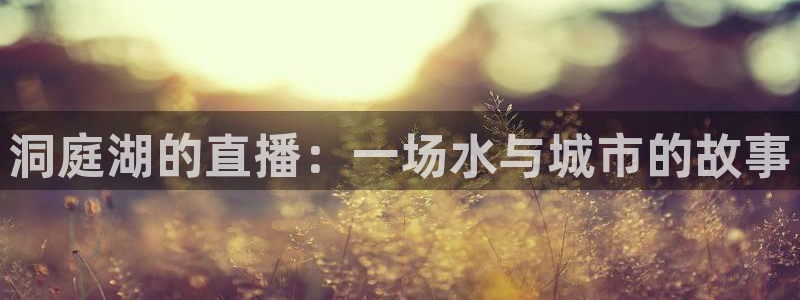 小九足球直播：洞庭湖的直播：一场水与城市的故事