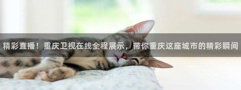 小九直播在线观看：精彩直播！重庆卫视在线全程展示，带你重庆这座城市的精彩瞬间